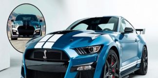 potente Mustang Shelby GT500